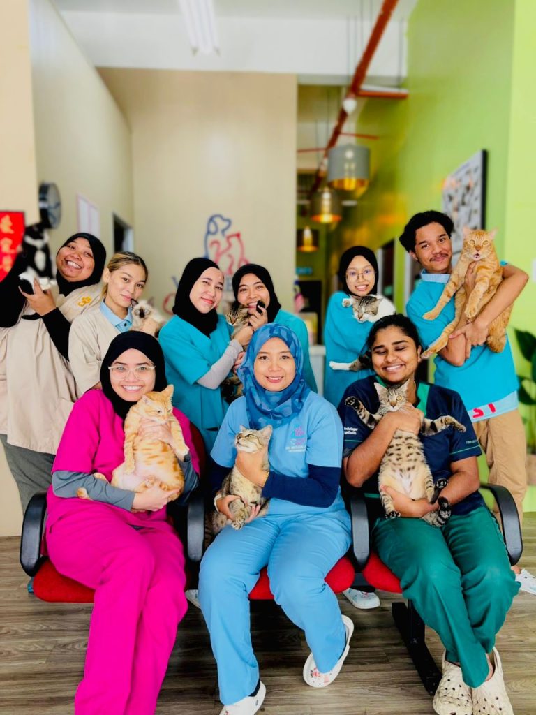 Vetmedic Petlover Team