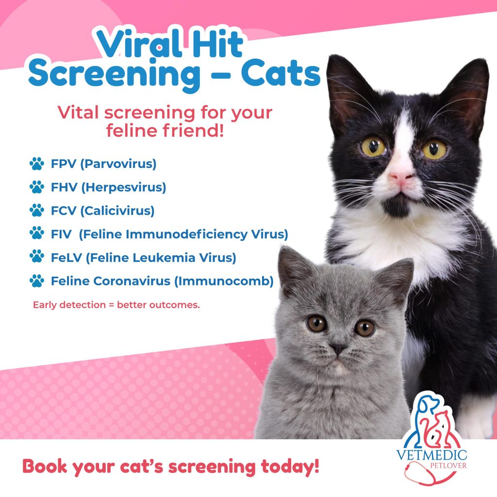 Viral Hit Screening Cats
