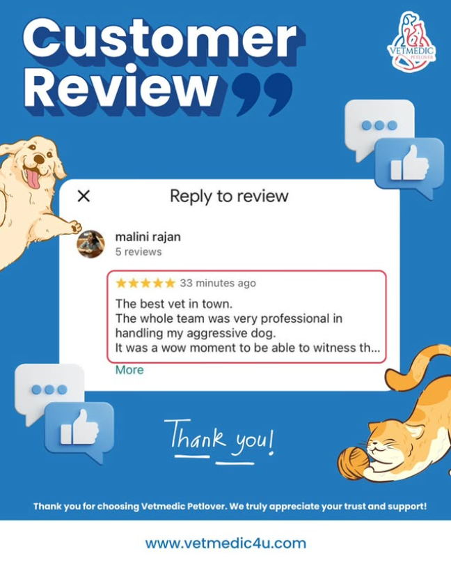 The best vet in town